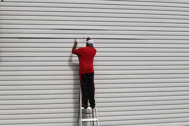 Best Shed Removal  in Webster, FL