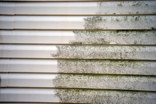 Best Yard Waste Removal  in Webster, FL