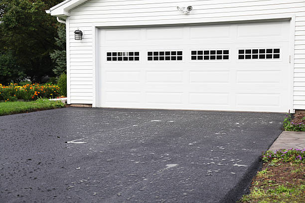 Best Carpet Removal and Disposal  in Webster, FL