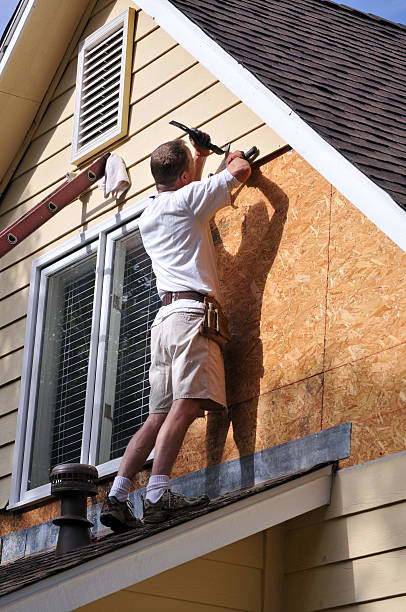 Best Dumpster Rental Services  in Webster, FL